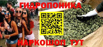 ALPHA PVP Гусев