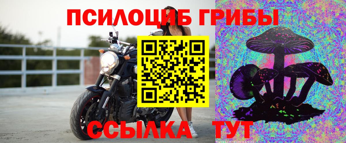 Псилоцибиновые грибы мицелий  Псилоцибиновые грибы MAGIC MUSHROOMS  Вход с VPN  Люберцы 