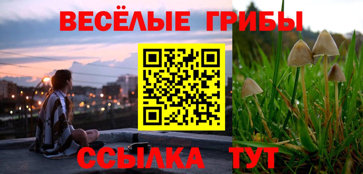Псилоцибиновые грибы прущие грибы Люберцы